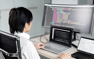博尔塔拉蒙古 api php源码,下载的php源码怎么运行呢？